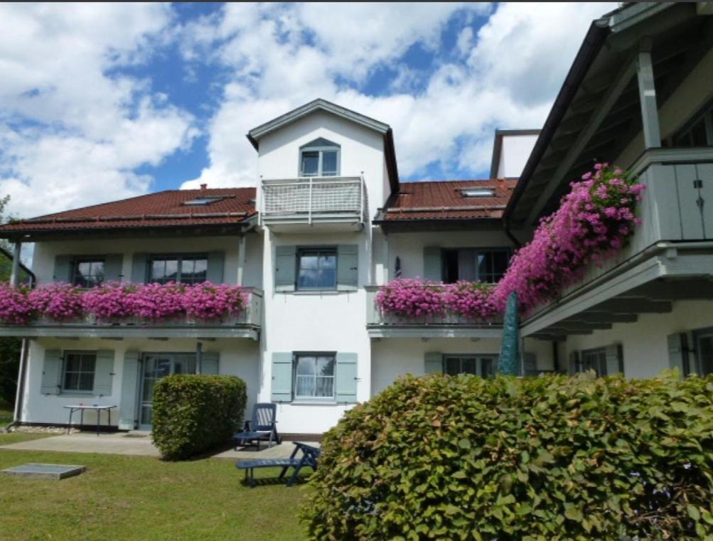 Ferienwohnanlage Brünnstein Wohnung 54 Oberaudorf Exterior foto
